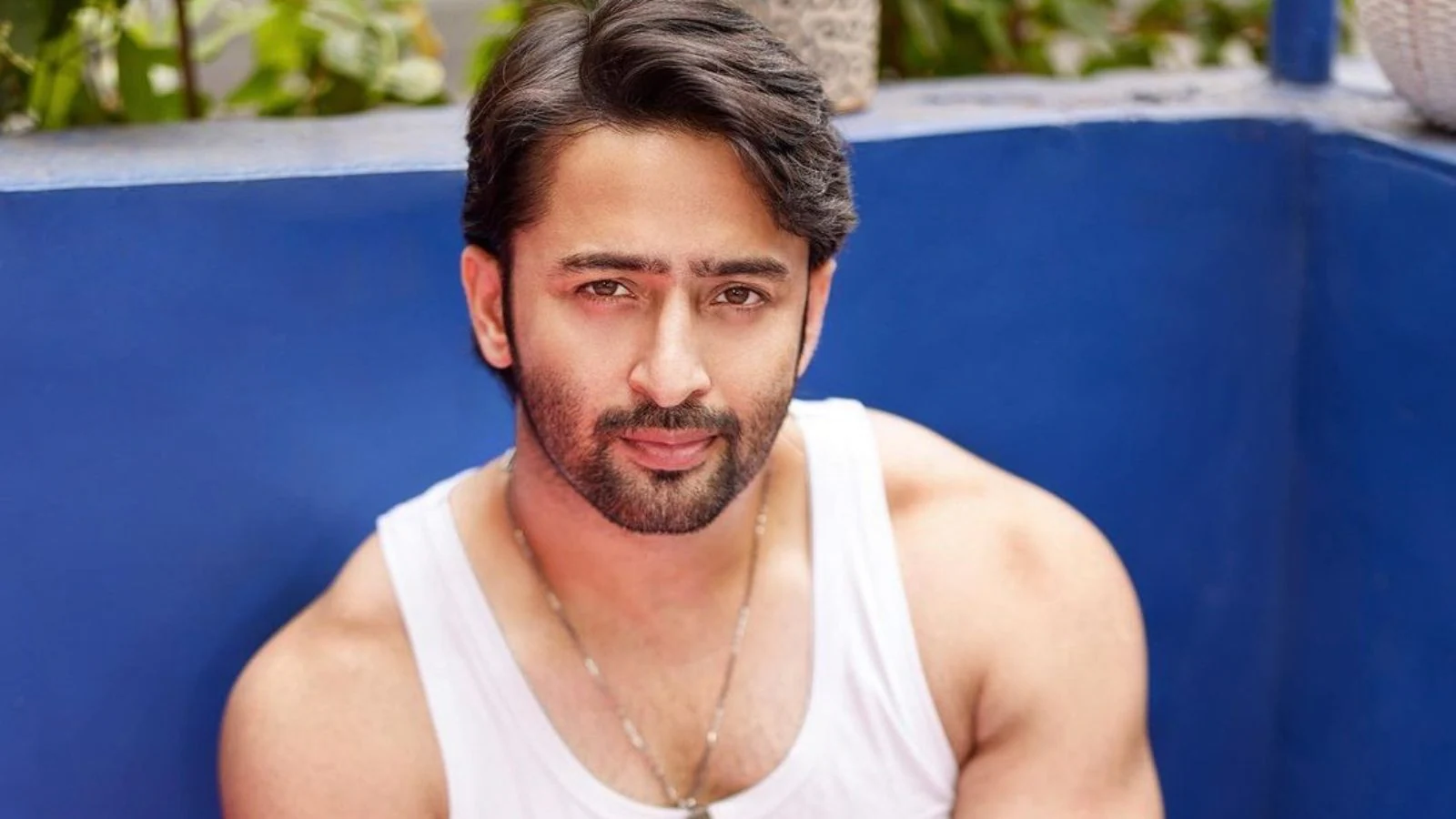 Shaheer Sheikh Biography: Life Story, Career, Family, TV Shows, Movies & Achievements